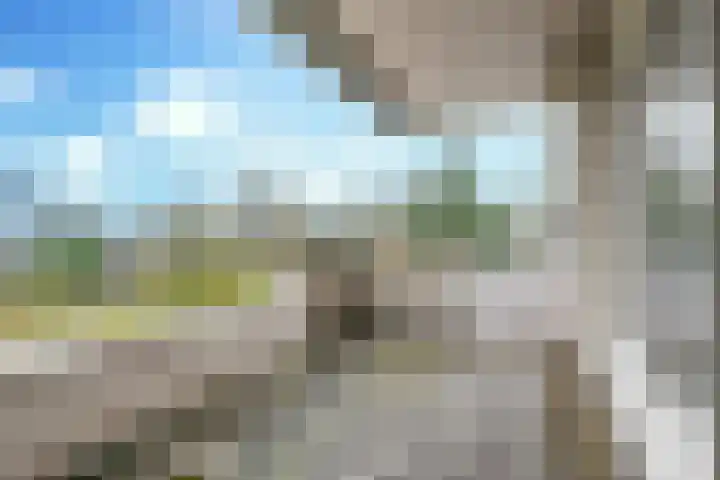 Groenewoud 23 Uden thumbnail 26