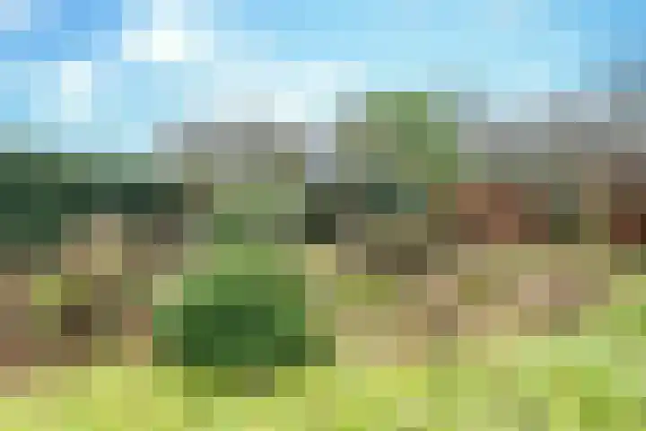 Groenewoud 23 Uden thumbnail 35