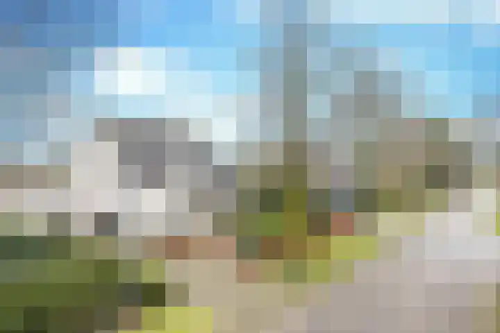 Groenewoud 23 Uden thumbnail 4