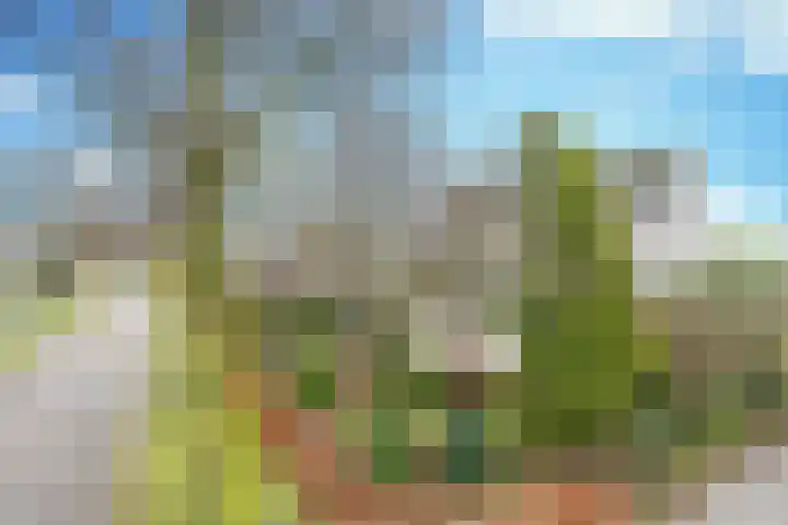 Groenewoud 23 Uden thumbnail 5