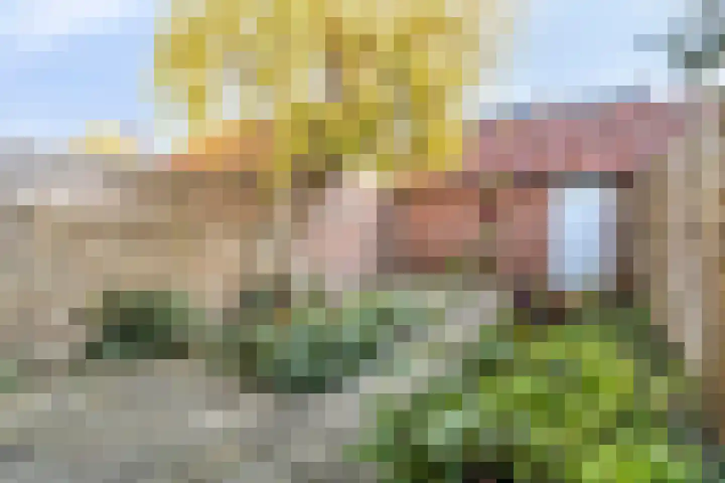 Groenewoud 44 Vlissingen thumbnail 14