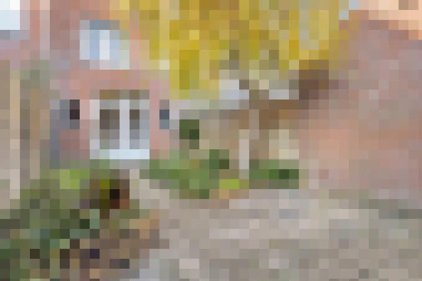 Groenewoud 44 Vlissingen thumbnail 17