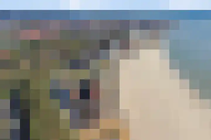 Groenewoud 72 Vlissingen thumbnail 26