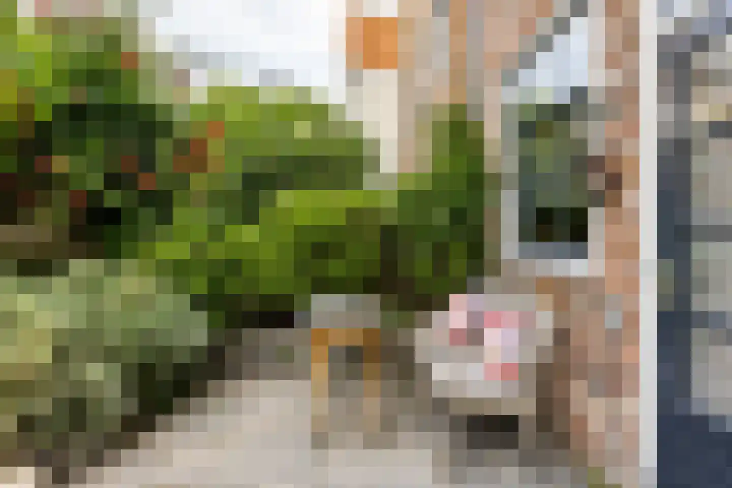 Groenewoud 73 Vlissingen thumbnail 15