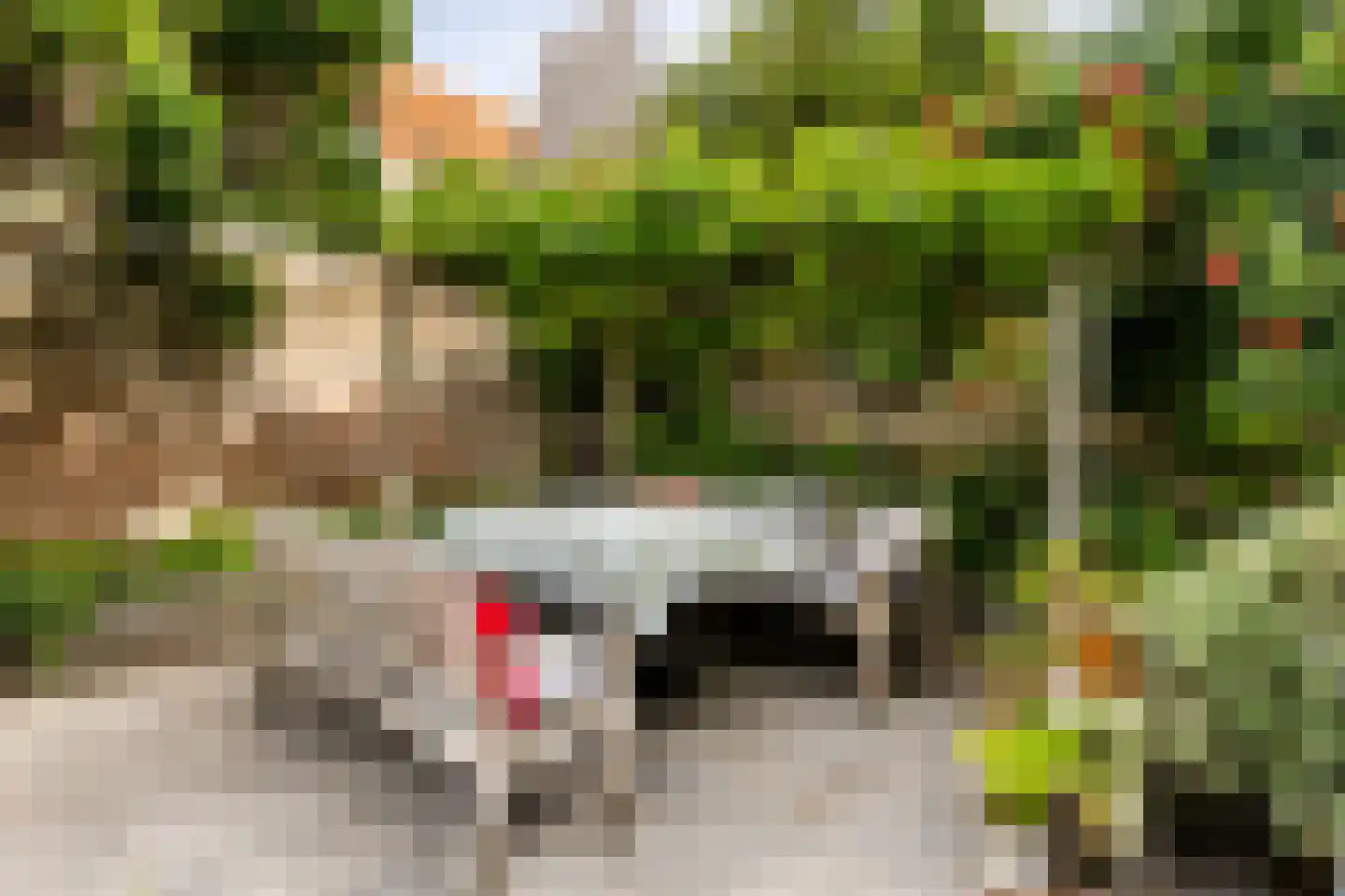 Groenewoud 73 Vlissingen thumbnail 16