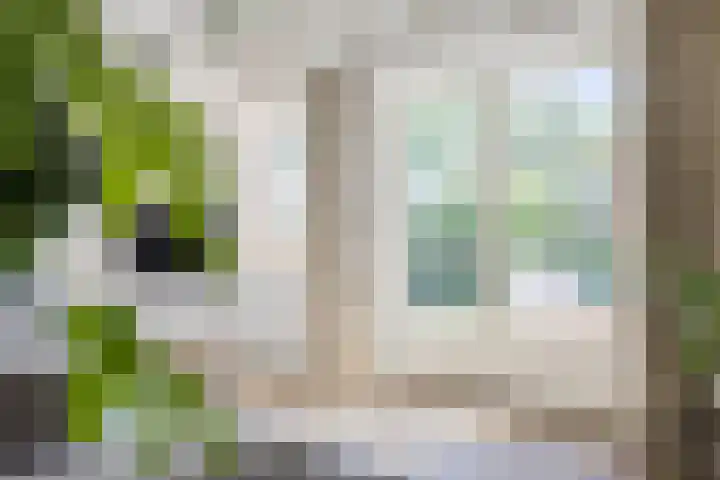Groenewoud 8 Lithoijen thumbnail 15