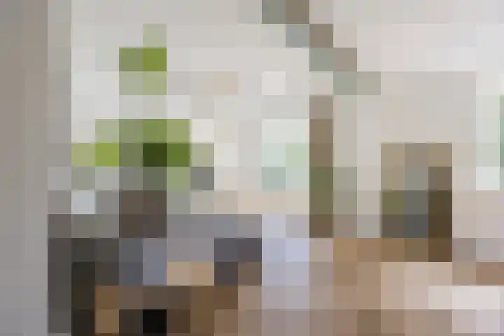 Groenewoud 8 Lithoijen thumbnail 16