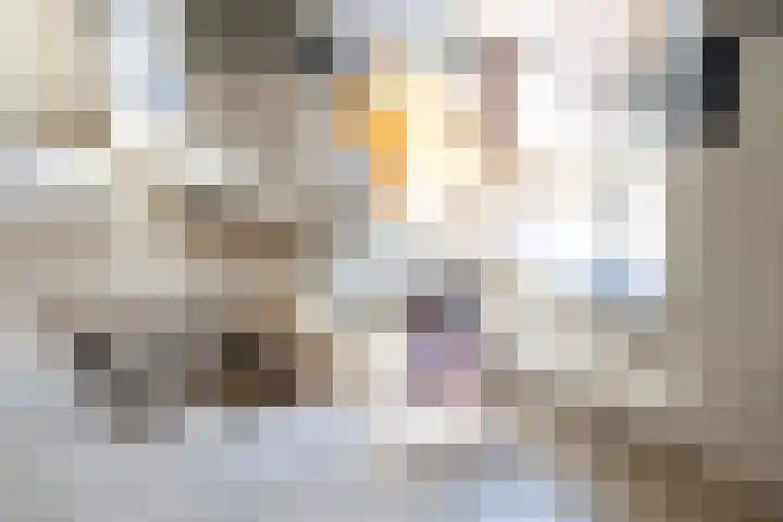 Groenewoud 8 Lithoijen thumbnail 18