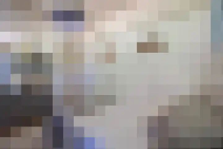 Groenewoud 8 Lithoijen thumbnail 20