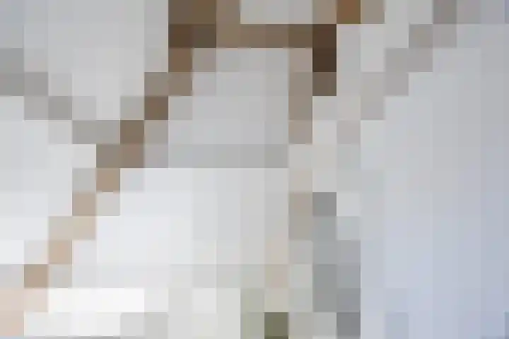 Groenewoud 8 Lithoijen thumbnail 38
