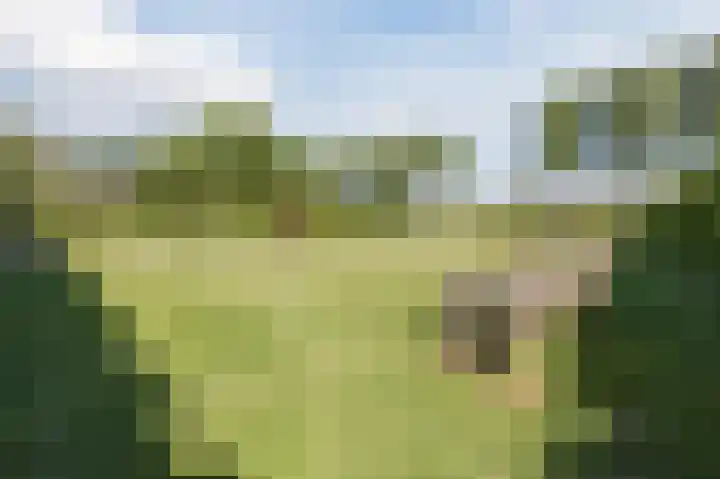Groenewoud 8 Lithoijen thumbnail 4