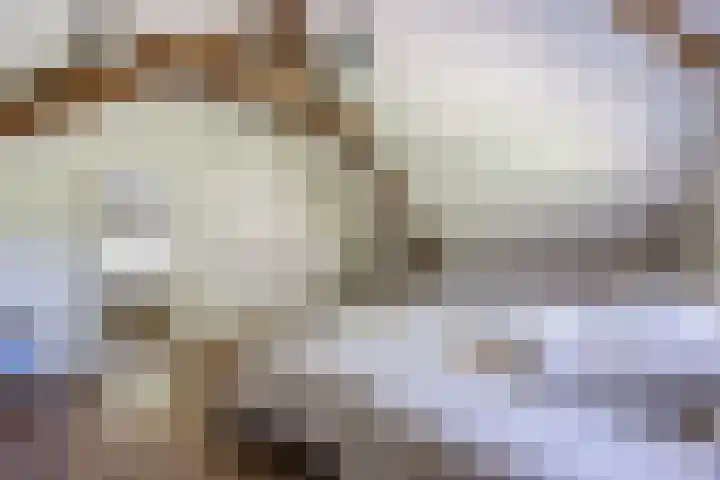 Groenewoud 8 Lithoijen thumbnail 41