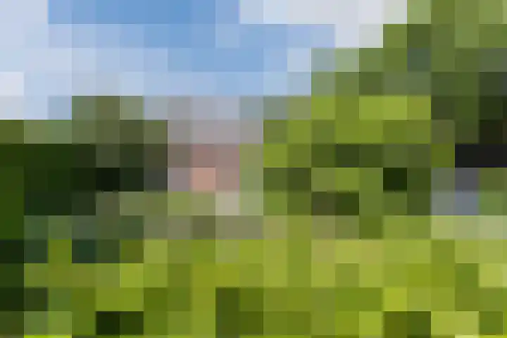 Groenewoud 8 Lithoijen thumbnail 58