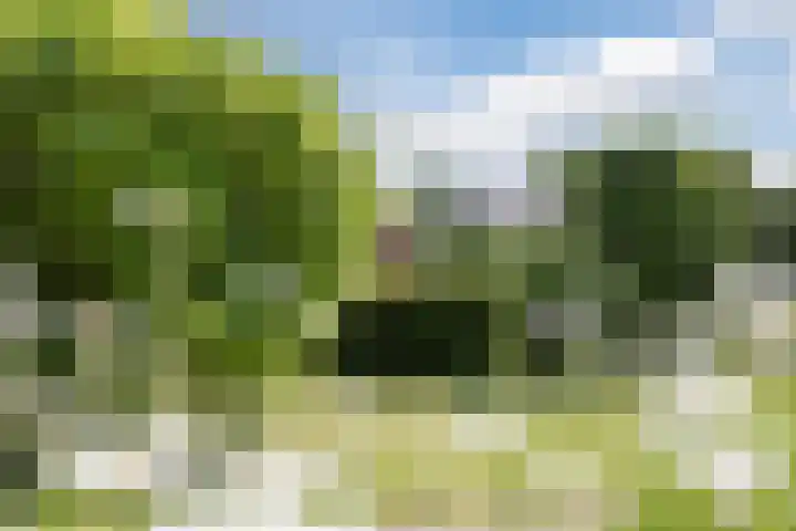 Groenewoud 8 Lithoijen thumbnail 59