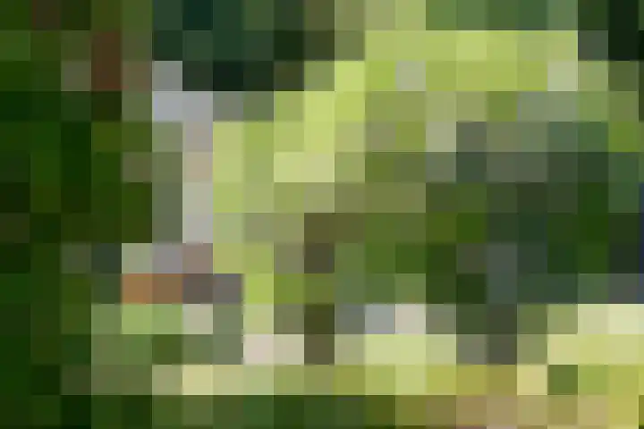 Groenewoud 8 Lithoijen thumbnail 61