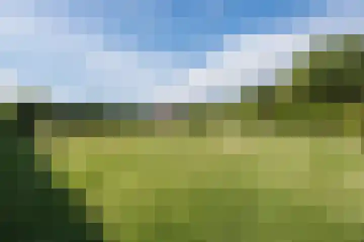 Groenewoud 8 Lithoijen thumbnail 62