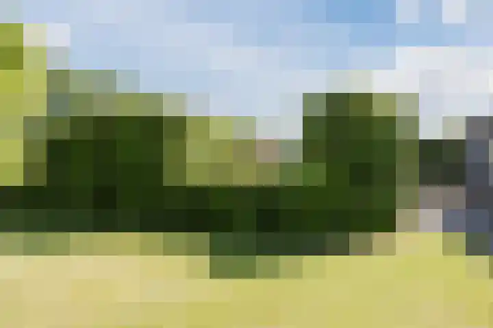 Groenewoud 8 Lithoijen thumbnail 63