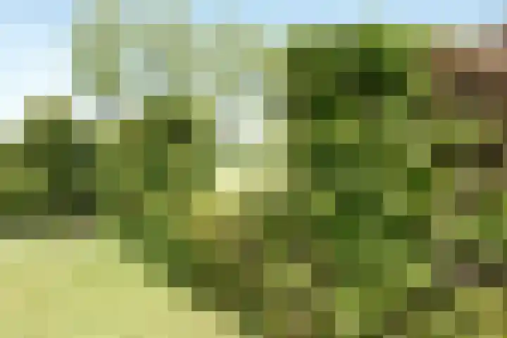 Groenewoud 8 Lithoijen thumbnail 64