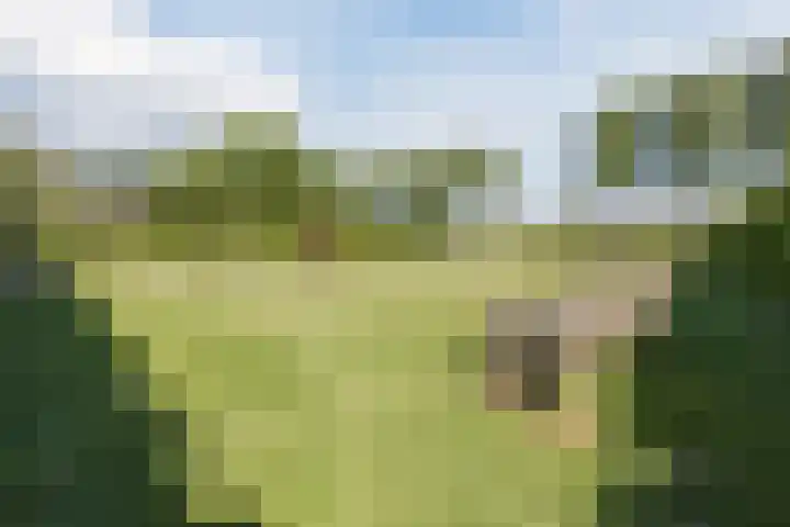 Groenewoud 8 Lithoijen thumbnail 65