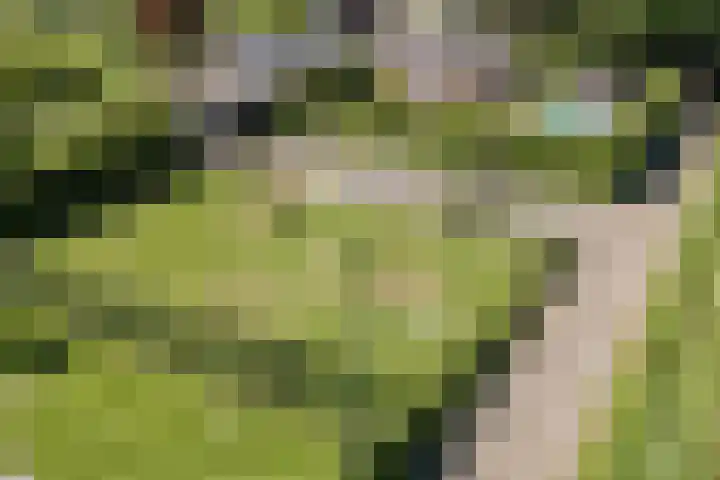 Groenewoud 8 Lithoijen thumbnail 67