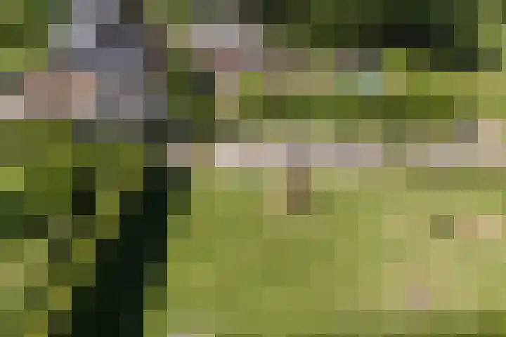 Groenewoud 8 Lithoijen thumbnail 68