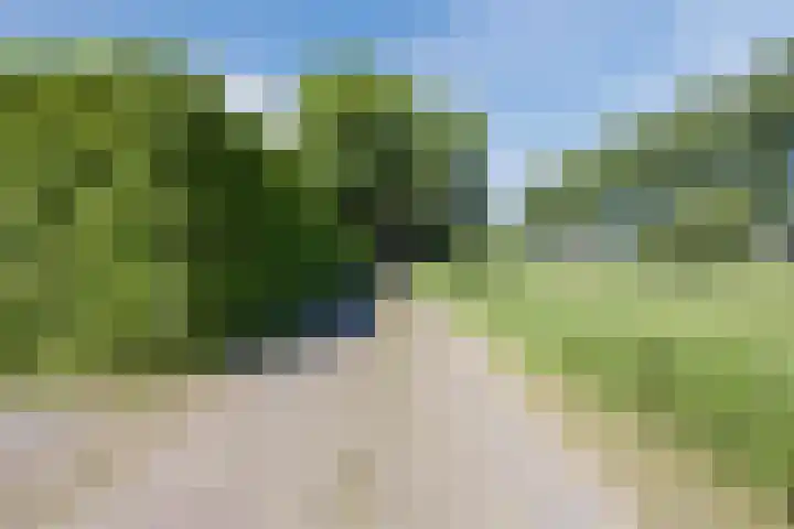 Groenewoud 8 Lithoijen thumbnail 71