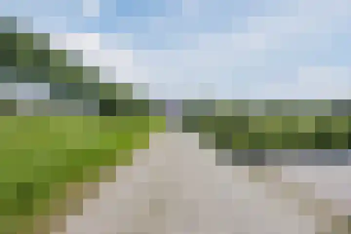 Groenewoud 8 Lithoijen thumbnail 73