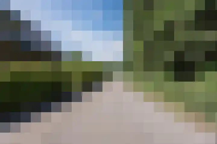 Groenewoud 8 Lithoijen thumbnail 8