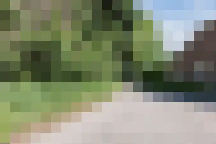 Groenewoud 8 Lithoijen thumbnail 9