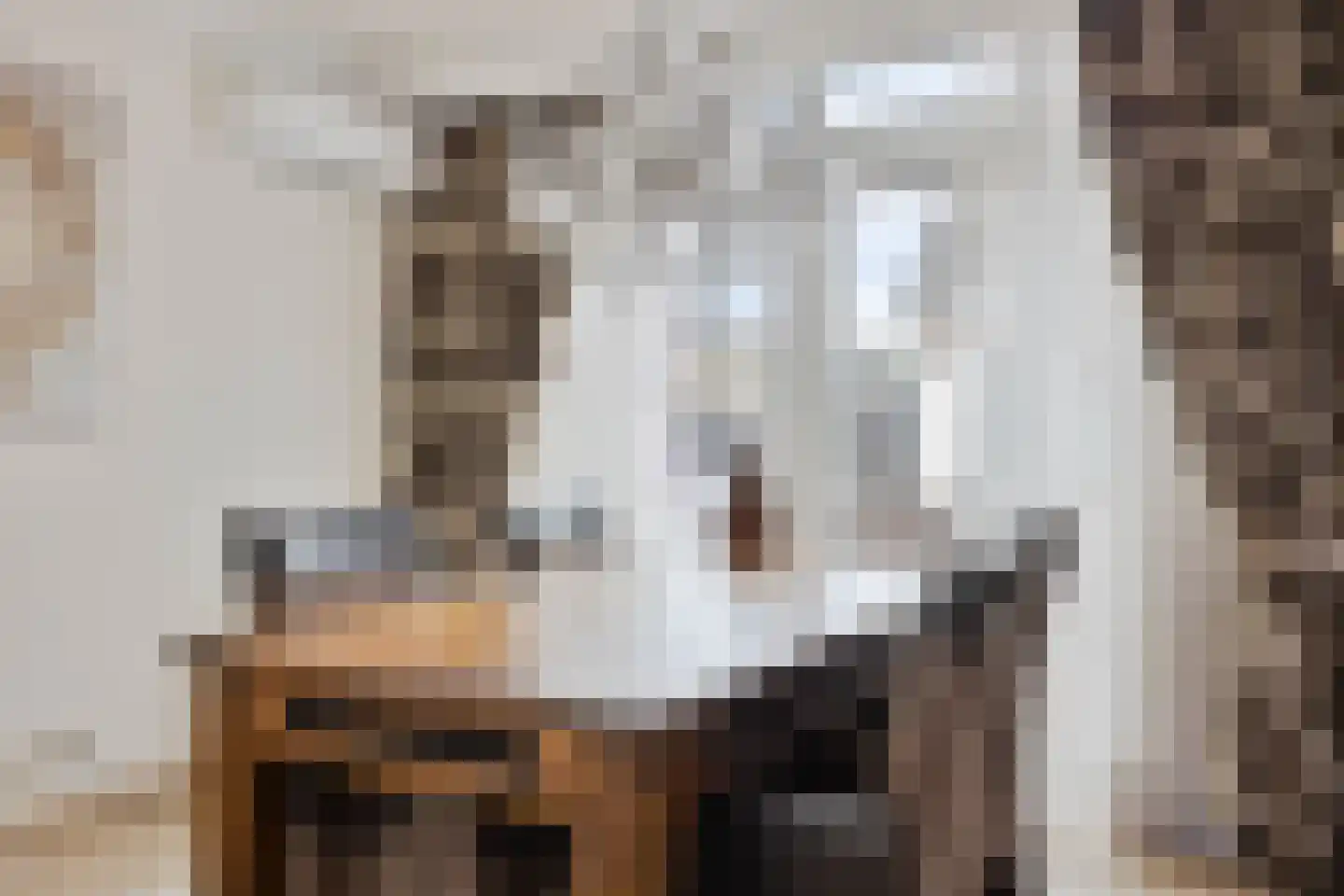 Groenewoudlaan 12 Waalwijk thumbnail 16