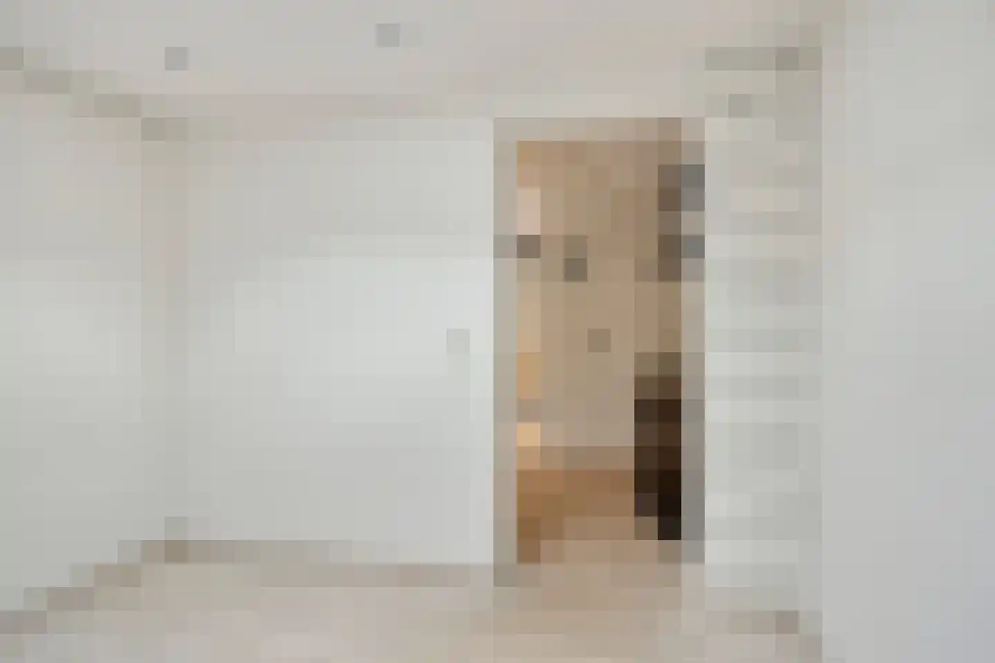 Groenewoudlaan 12 Waalwijk thumbnail 29