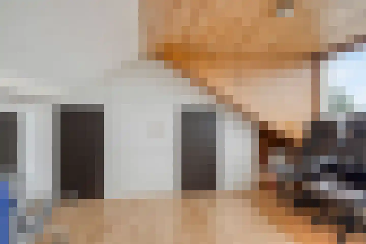 Groenewoudlaan 12 Waalwijk thumbnail 42