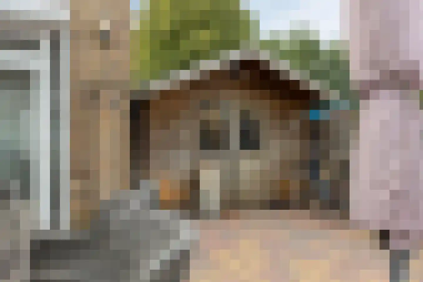 Groenewoudlaan 12 Waalwijk thumbnail 47