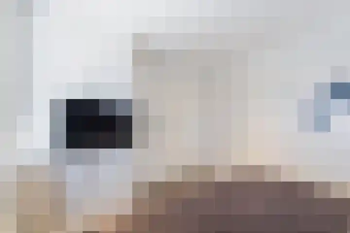 Groenewoudlaan 40 Weert thumbnail 20