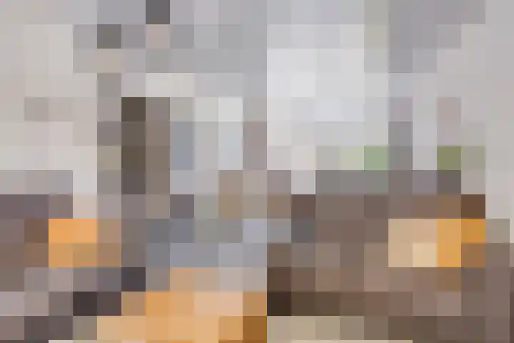 Groenewoudlaan 42 Waalwijk thumbnail 10