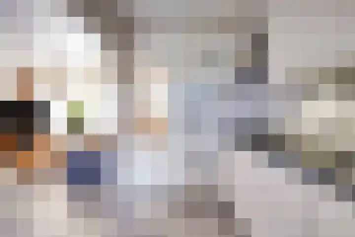 Groenewoudlaan 42 Waalwijk thumbnail 14