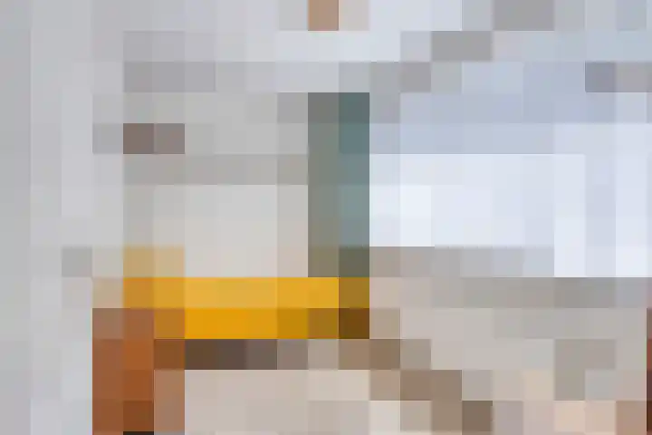 Groenewoudlaan 42 Waalwijk thumbnail 21