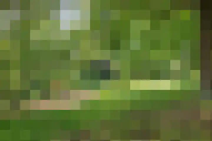 Groenewoudlaan 42 Waalwijk thumbnail 31