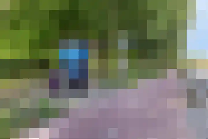 Groenewoudlaan 42 Waalwijk thumbnail 32
