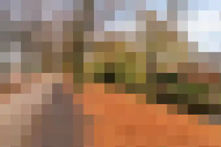 Groenewoudlaan 48 Waalwijk thumbnail 22