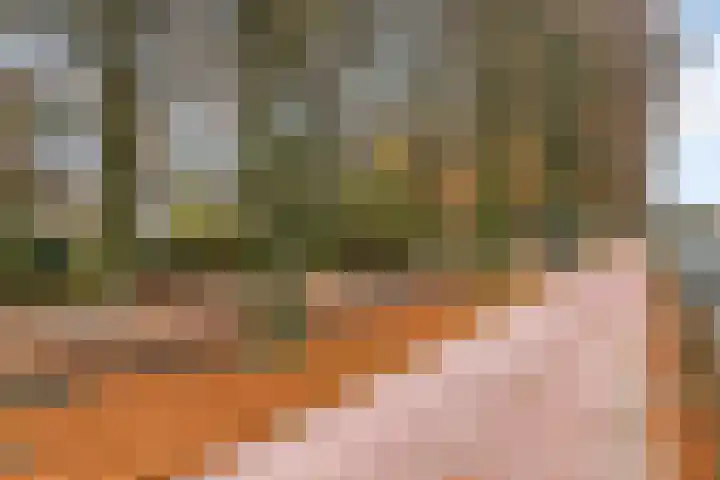 Groenewoudlaan 48 Waalwijk thumbnail 4