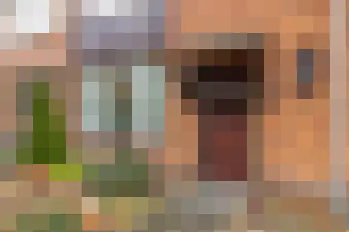 Groenewoudlaan 48 Waalwijk thumbnail 5