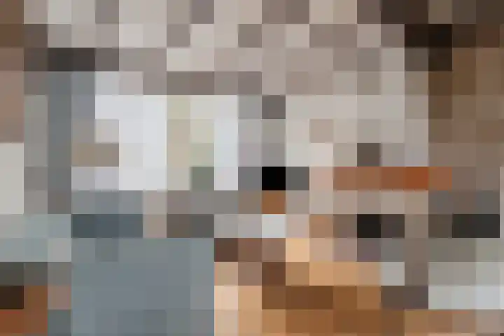 Groenewoudlaan 48 Waalwijk thumbnail 7