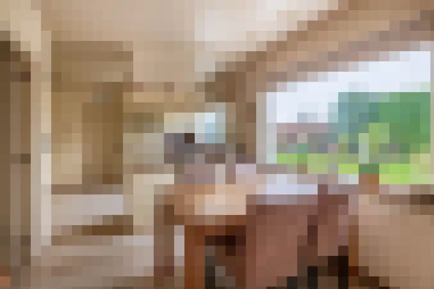 Groenewoudlaan 82 Waalwijk thumbnail 18