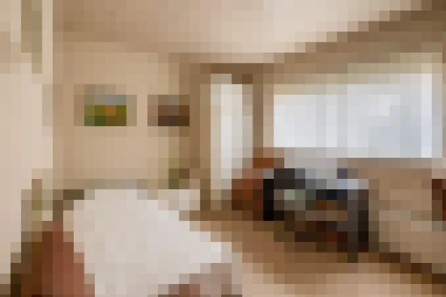 Groenewoudlaan 82 Waalwijk thumbnail 31
