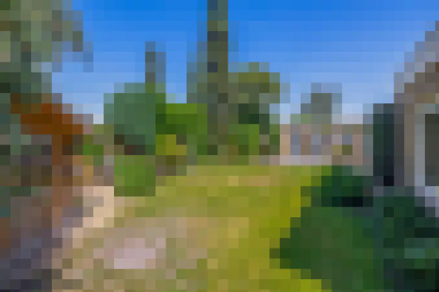 Groenewoudlaan 82 Waalwijk thumbnail 32