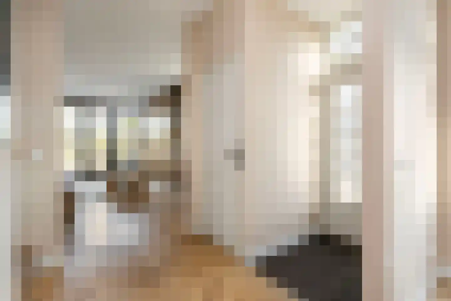 Groenewoudseweg 11 Cothen thumbnail 11