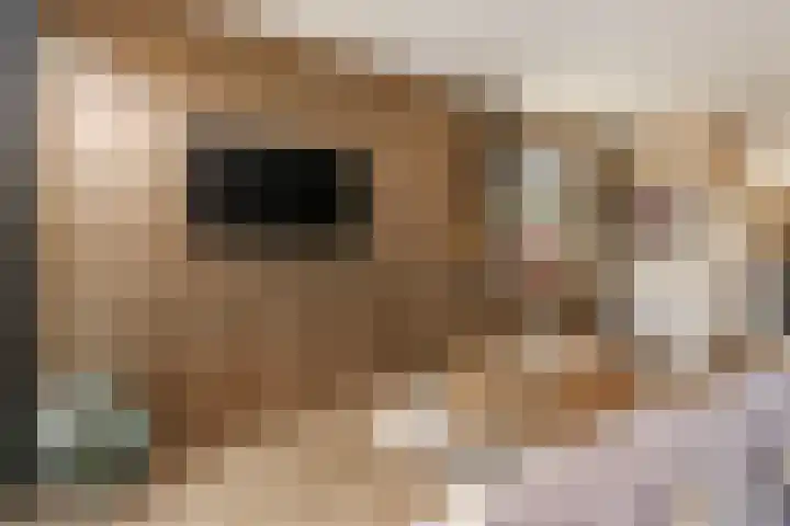 Groenewoudseweg 11 Cothen thumbnail 17