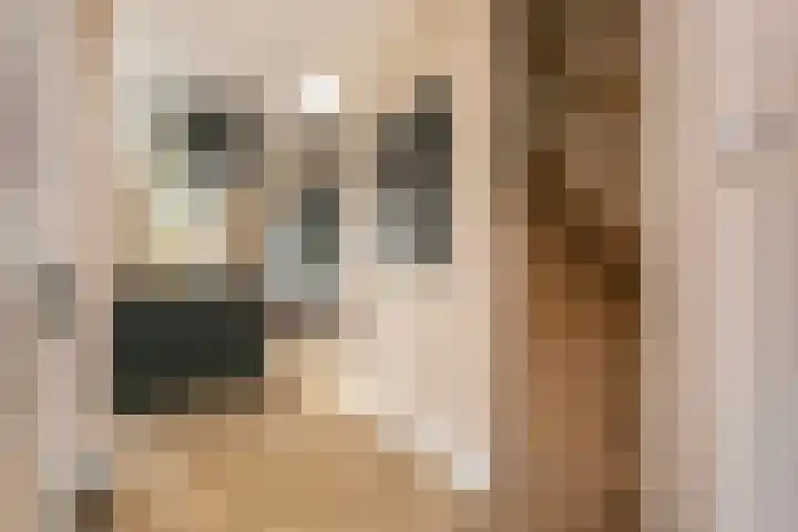 Groenewoudseweg 11 Cothen thumbnail 18