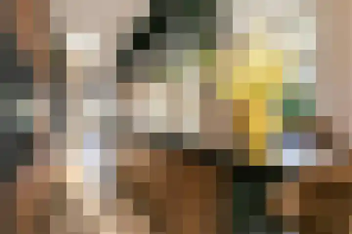 Groenewoudseweg 11 Cothen thumbnail 23